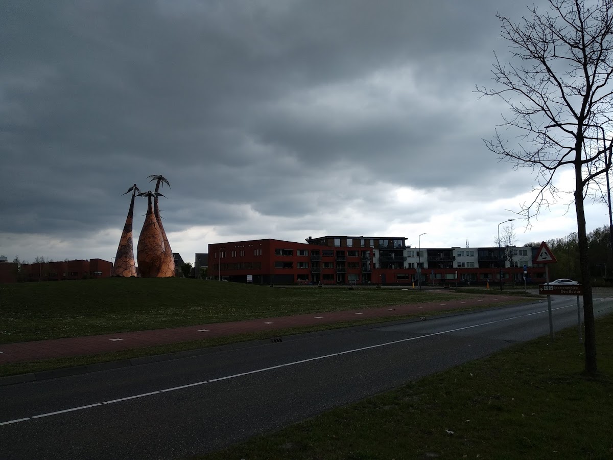 Palm trees in the Netherlands?